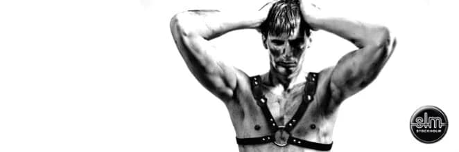 Gay Cruise Clubs in Stockholm