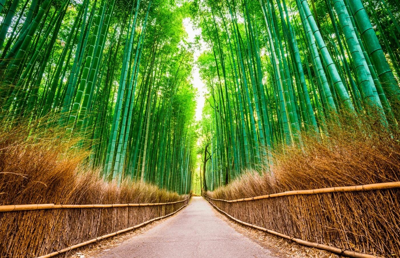 ゲイグループ旅行：日本の冒険