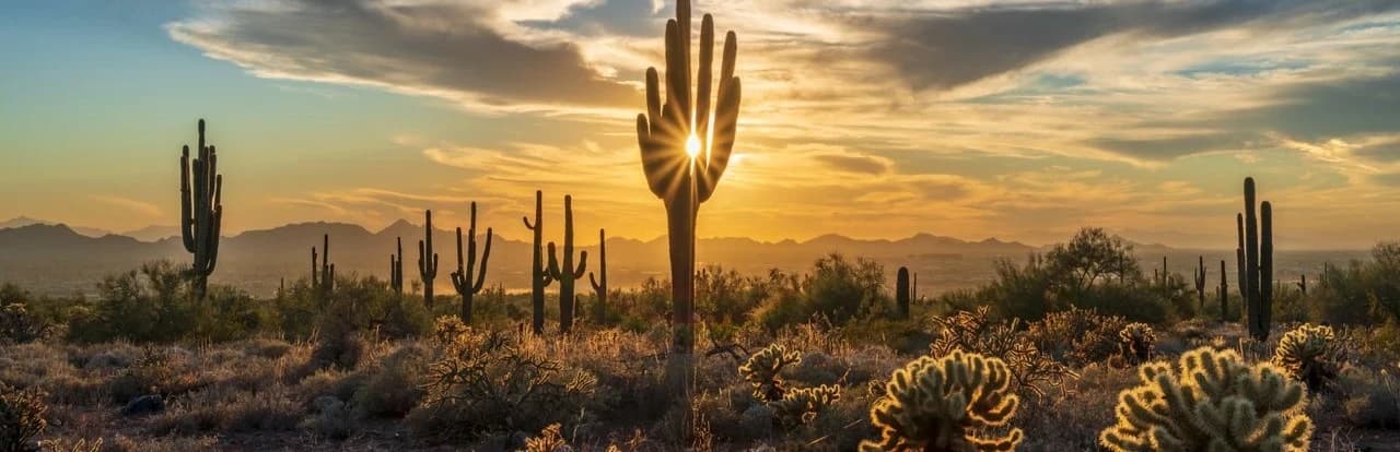 Arizona Gay